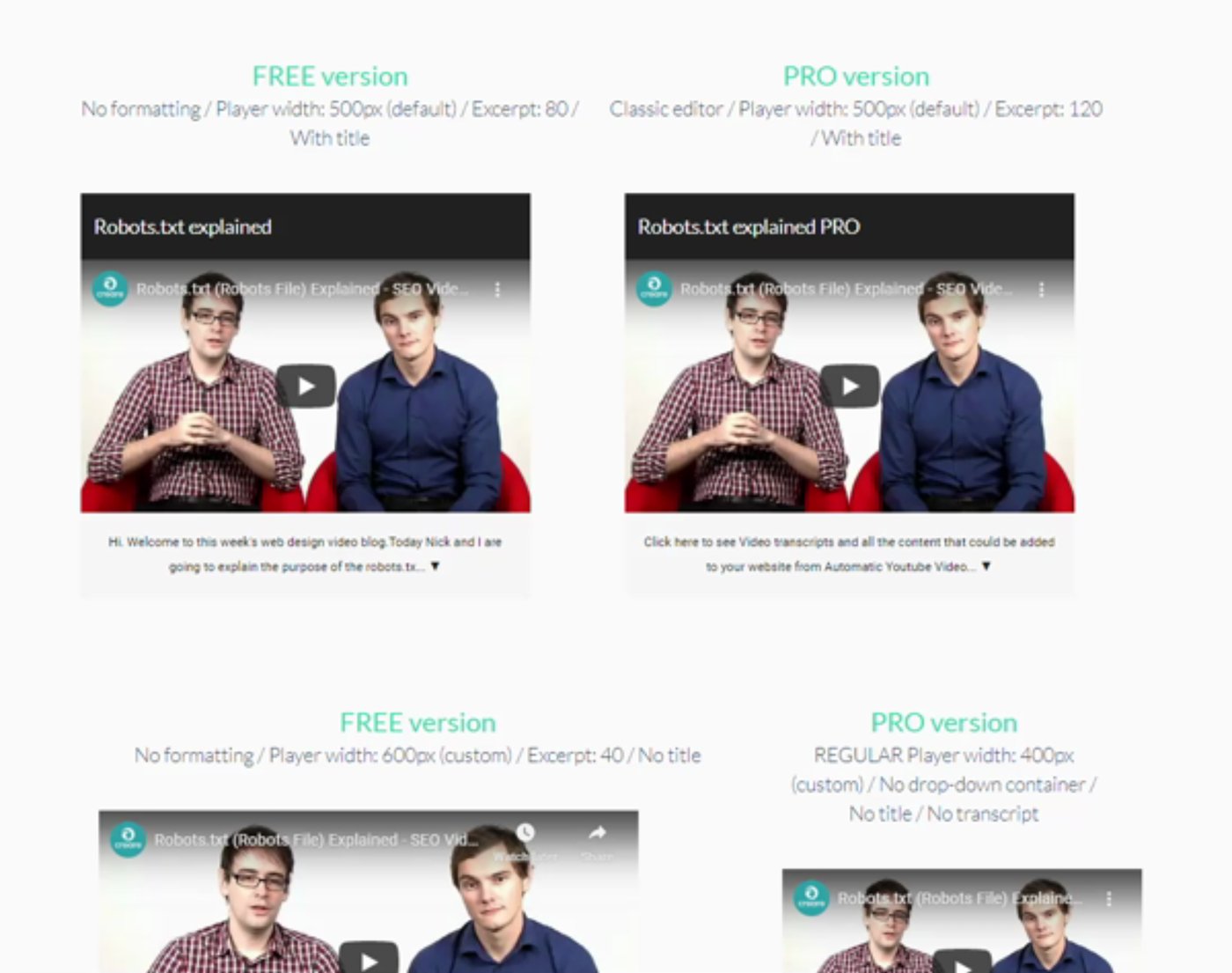 Free and Pro visual comparison for VidSEO