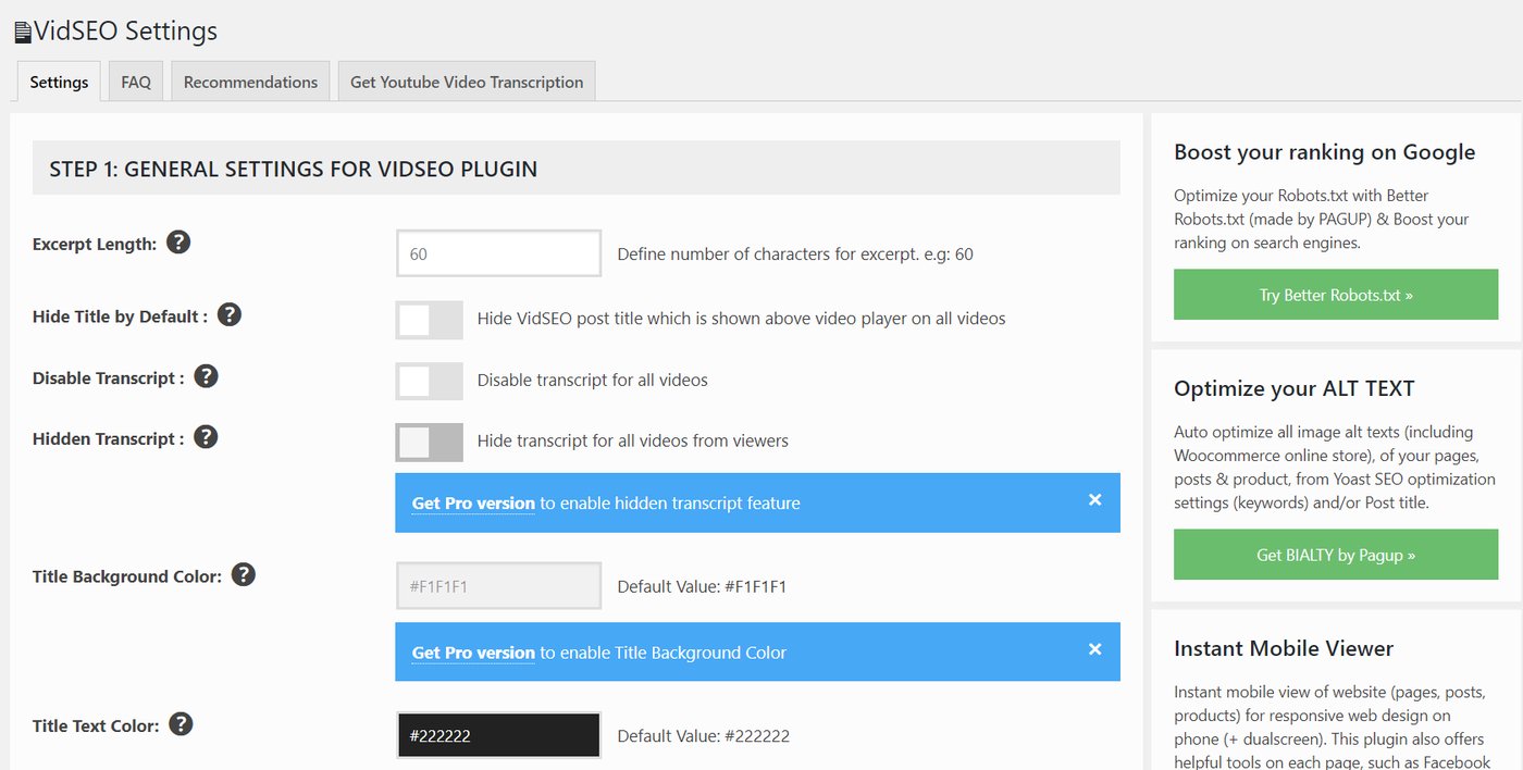 VidSEO general settings in WordPress